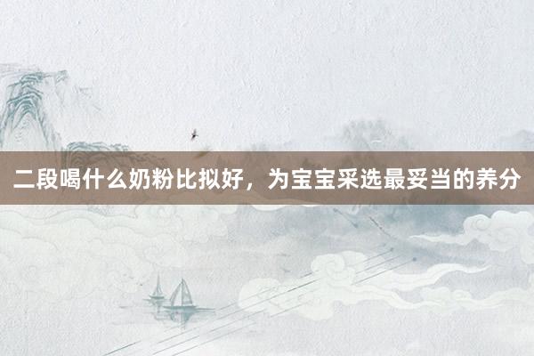 二段喝什么奶粉比拟好，为宝宝采选最妥当的养分